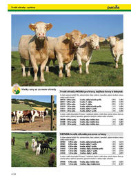 141. stránka Patura letáku