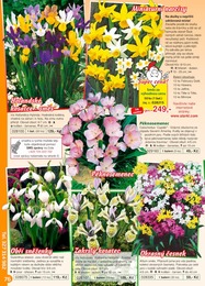 76. stránka Starkl letáku