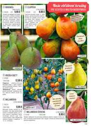 109. stránka Starkl letáku