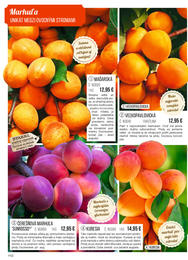 110. stránka Starkl letáku