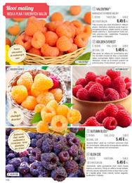 116. stránka Starkl letáku