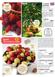 120. stránka Starkl letáku