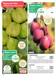 124. stránka Starkl letáku