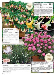 24. stránka Starkl letáku