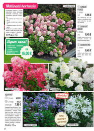 26. stránka Starkl letáku