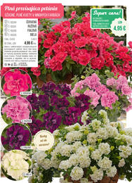 5. stránka Starkl letáku