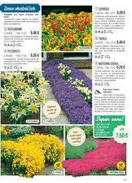 51. stránka Starkl letáku