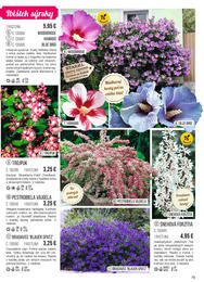 79. stránka Starkl letáku