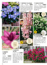 80. stránka Starkl letáku