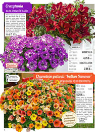 8. stránka Starkl letáku