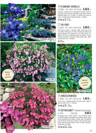 87. stránka Starkl letáku