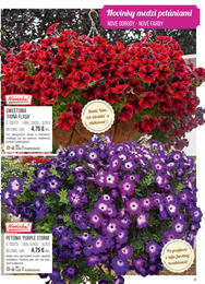 9. stránka Starkl letáku