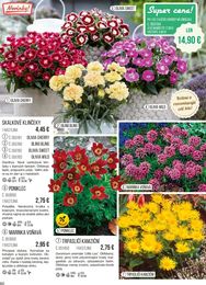 60. stránka Starkl letáku