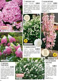 70. stránka Starkl letáku