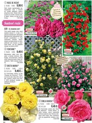 82. stránka Starkl letáku