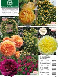 83. stránka Starkl letáku