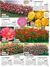 87. stránka Starkl letáku