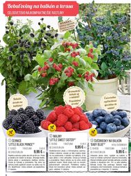 8. stránka Starkl letáku