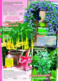 26. stránka Starkl letáku