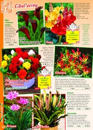 42. stránka Starkl letáku