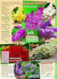 69. stránka Starkl letáku