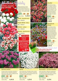 56. stránka Starkl letáku