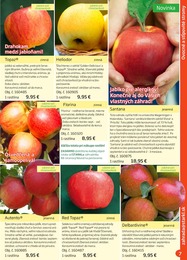 7. stránka Starkl letáku