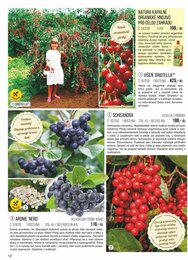 12. stránka Starkl letáku