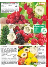 17. stránka Starkl letáku