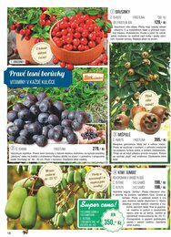 18. stránka Starkl letáku