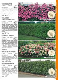 49. stránka Starkl letáku