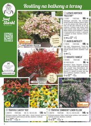 4. stránka Starkl letáku