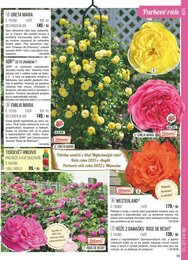 55. stránka Starkl letáku