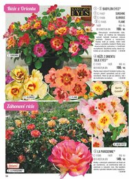 58. stránka Starkl letáku