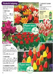 76. stránka Starkl letáku