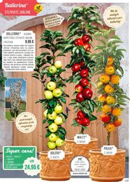 127. stránka Starkl letáku