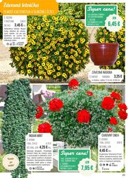 25. stránka Starkl letáku