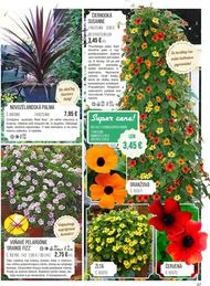 27. stránka Starkl letáku