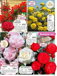 55. stránka Starkl letáku