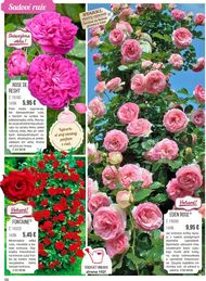 56. stránka Starkl letáku