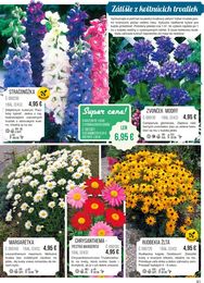 61. stránka Starkl letáku