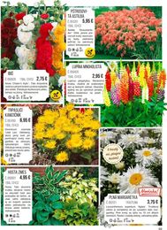 69. stránka Starkl letáku