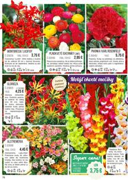 78. stránka Starkl letáku