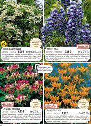 86. stránka Starkl letáku