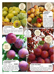 18. stránka Starkl letáku