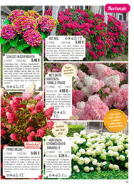 39. stránka Starkl letáku