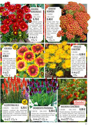 61. stránka Starkl letáku