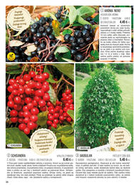 36. stránka Starkl letáku