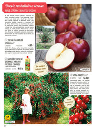 42. stránka Starkl letáku