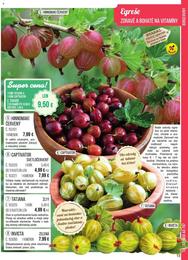 13. stránka Starkl letáku